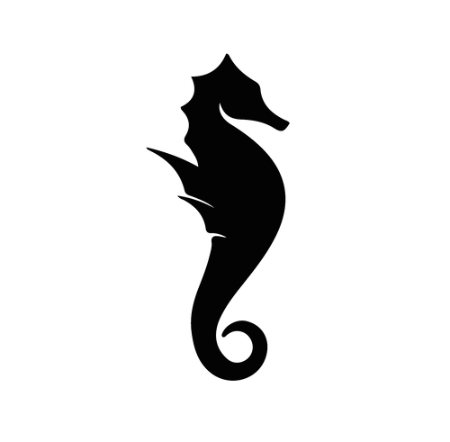 BodyCurve